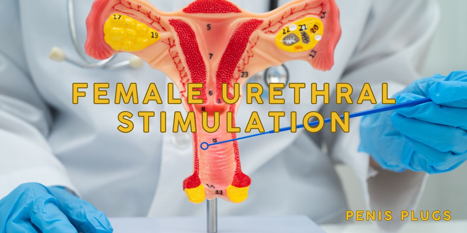 urethral stimulation women