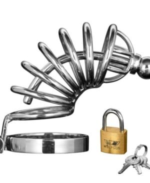 Asylum 6 Ring Locking Chastity Cage