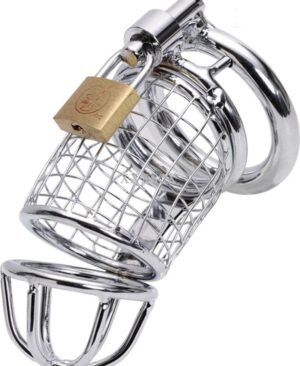 Caged Dragon Male Chastity Device Silver