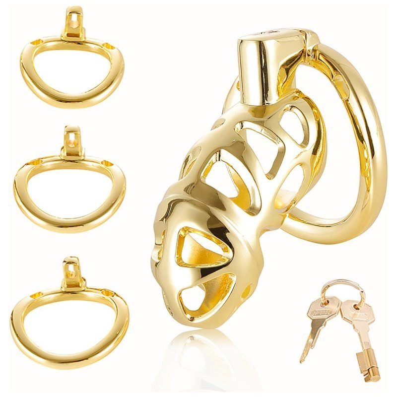 BDStyle Male Chastity Cage Locked with 3 Active Sizes Rings