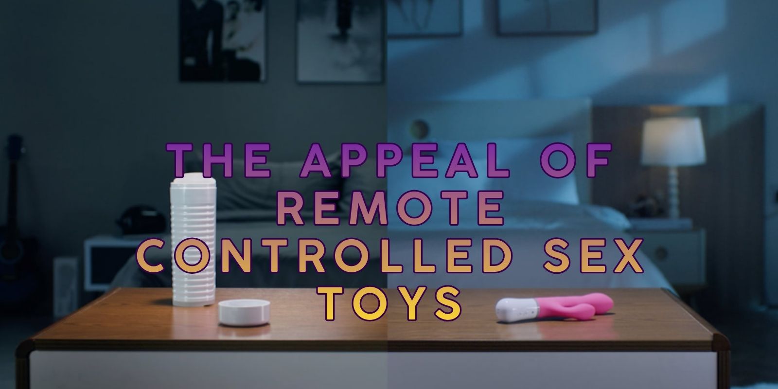 remote control sex toys